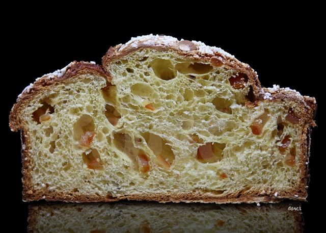 La colomba di Bonci