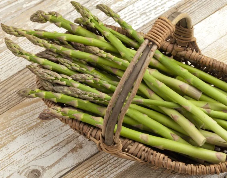 Asparagi appena raccolti
