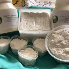 Caseificio Morese, prodotti a latte di bufala