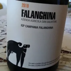 Falanghina Campania Igp 2019 San Salvatore 1988