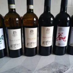 Vini Cantine Di Marzo 1647