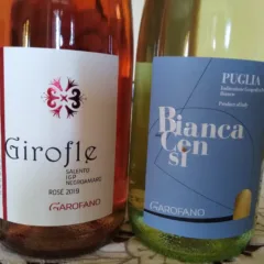Vini Garofano