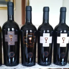 Vini Schola Sarmenti