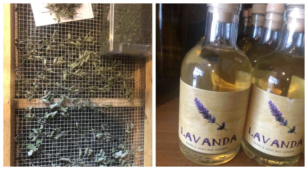 Cilento I Sapori della terra - erbe e lavanda