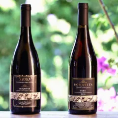 Faro 2006 e Faro 2016 Bonavita