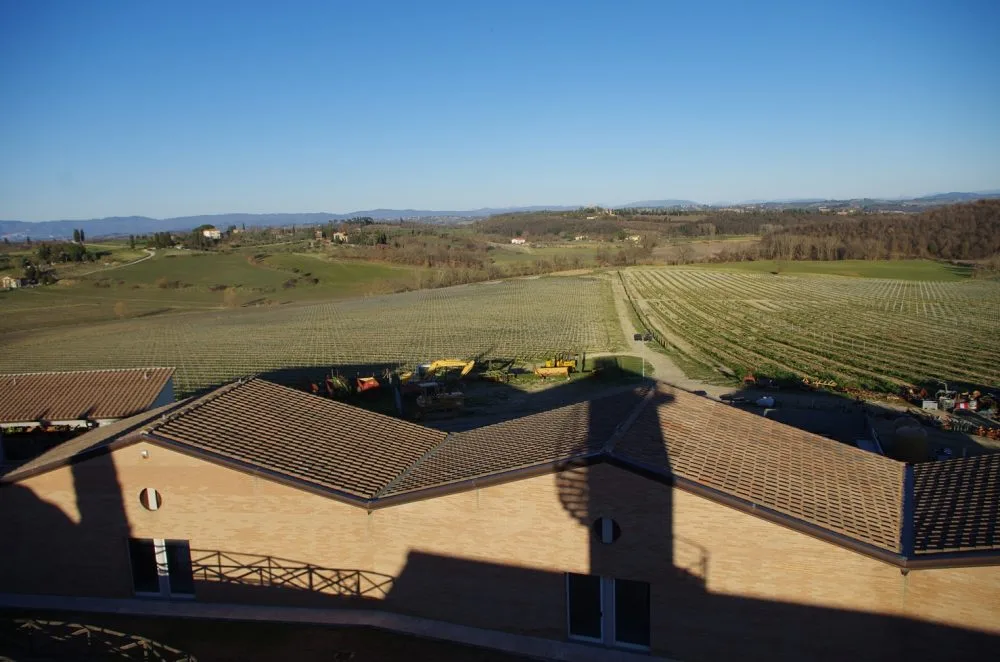 Carpineto - Il Vigneto