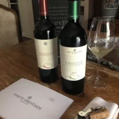 Orestiadi Ludovico Terre di Sicilia IGT 2015 e Il Bianco di Ludovico DOC Sicilia Riserva 2017