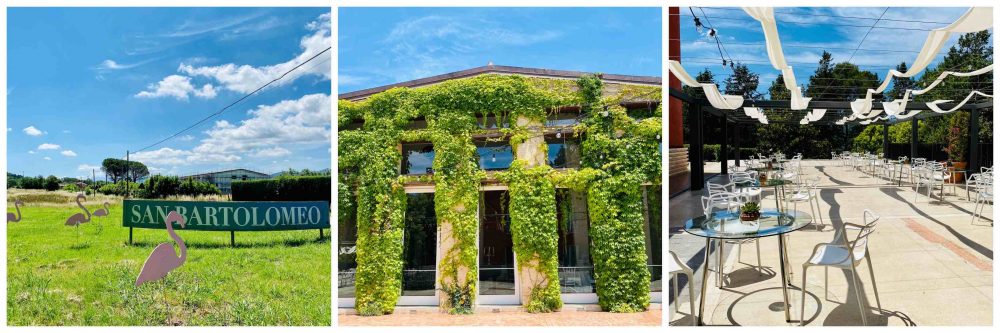 San Bartolomeo Casa in Campagna -ingresso e sala sul giardino