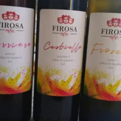 Vini Cantina Firosa