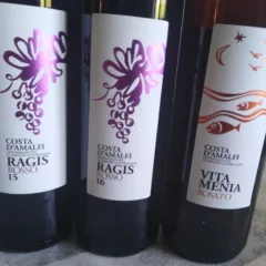 Vini Le Vigne di Raito
