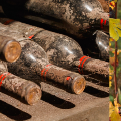 La Valtellina secondo Balgera