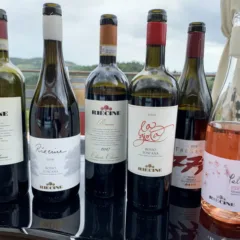 Riecine il Chianti Classico icona di stile