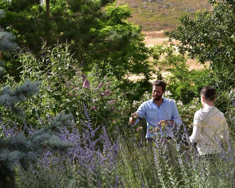 Susafa - Manfredi Rizzuto