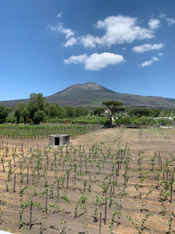 Cantina del Vesuvio