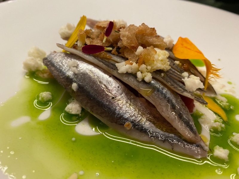 Suscettibile, Salerno - Caprese di Alici