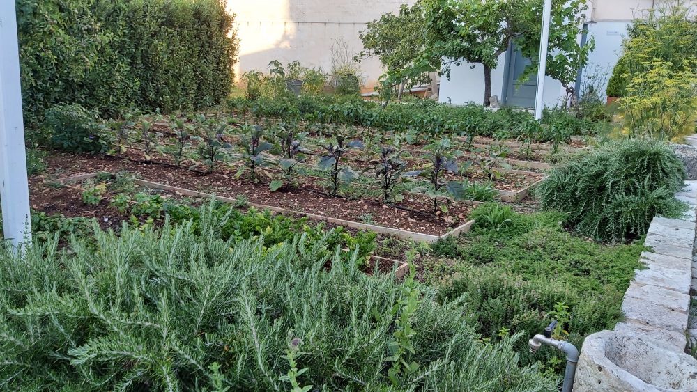 EVO ristorante – l'orto bio