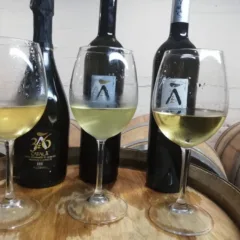 Catalanesca in tre versioni