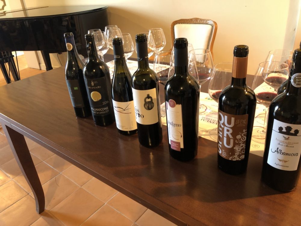 Degustazione Aglianicone - i vini