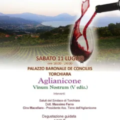 Degustazione aglianicone