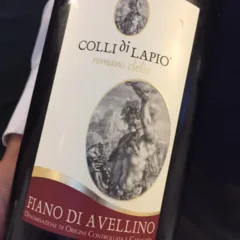 Fiano di Avellino 2010 docg Colli di Lapio in Magnum