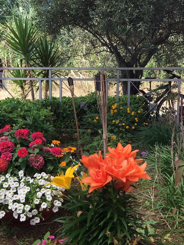 Lido Delphinus, i fiori di Francesca accanto al ristorante