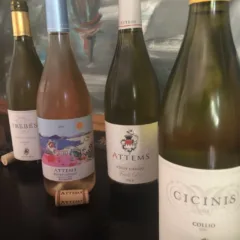 Pinot Grigio 2019, Pinot Grigio Ramato 2019, Trebes 2018 Ribolla Gialla e Cicinis 2018 Sauvignon Blanc Attems