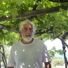 Chalet Azzurro Capri - Francesco Senesi