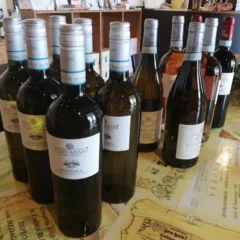 Etichette Cantina Adami