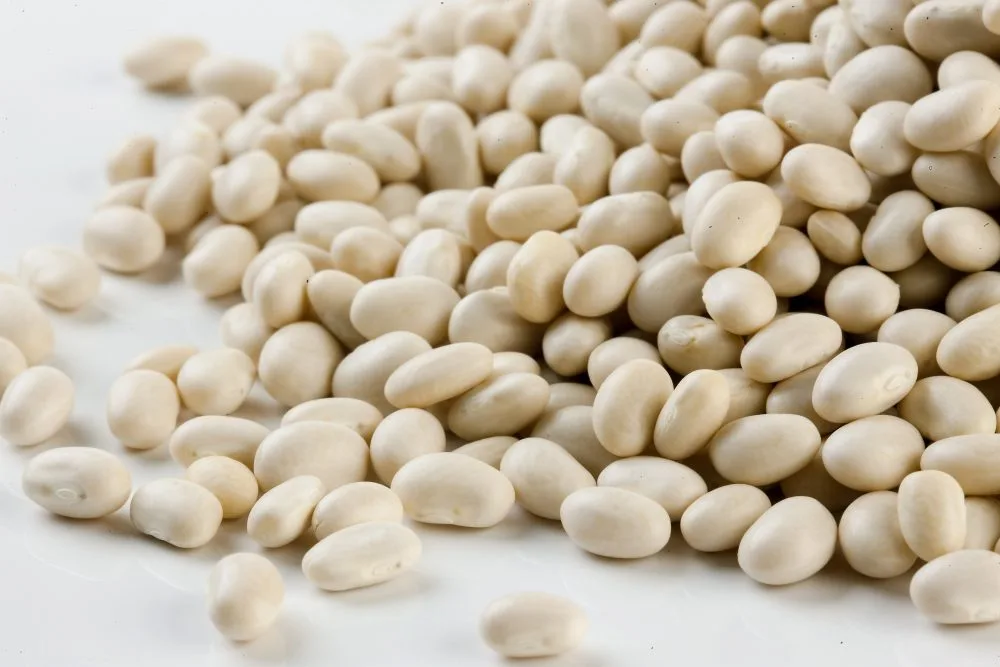 Fagiolo tondino del purgatorio