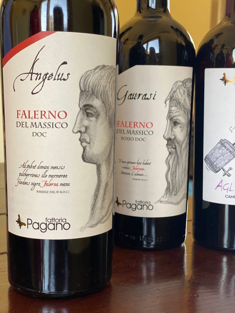 Fattoria Pagano - Falerno del Massico Rosso Angelus