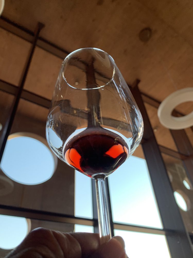 Opera in Rosso Terre di Pisa Sangiovese 2015