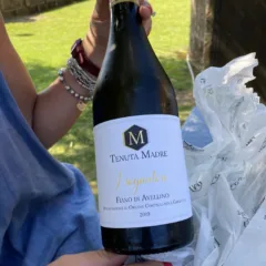 Tenuta Madre - Fiano di Avellino I Sognatori 2019 .