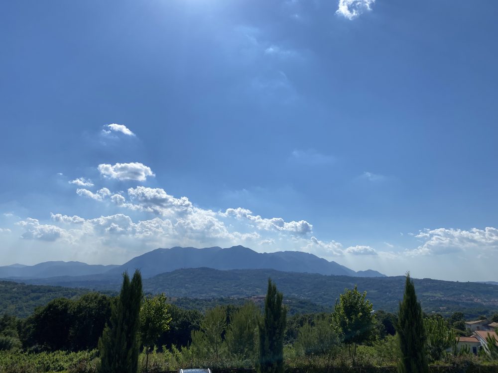 Tenuta Madre - Montefalcione