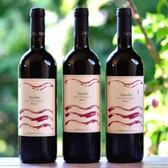 Tre annate di Taurilio