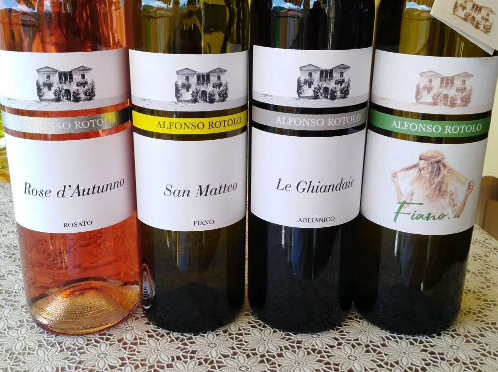 Vini Alfonso Rotolo