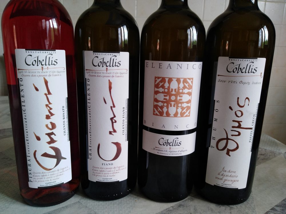 Vini Tenuta Cobellis