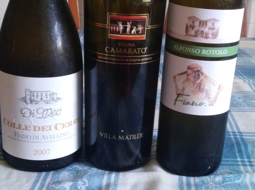 Vini degustati a Ferragosto e dintorni