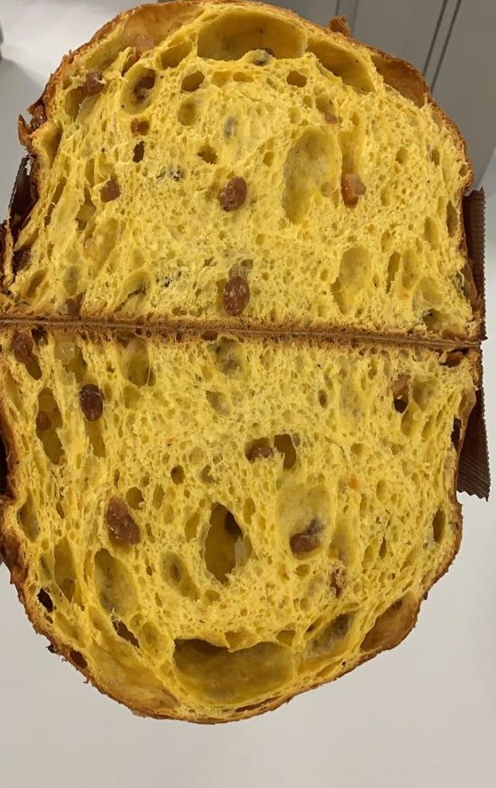 Panettone Maiolico