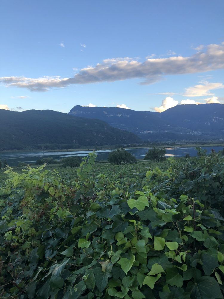 Lago di Caldaro