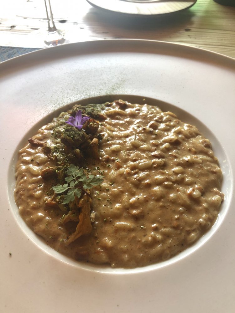 Il risotto ai funghi dello chef Mattia Baroni di Bad Schorgau