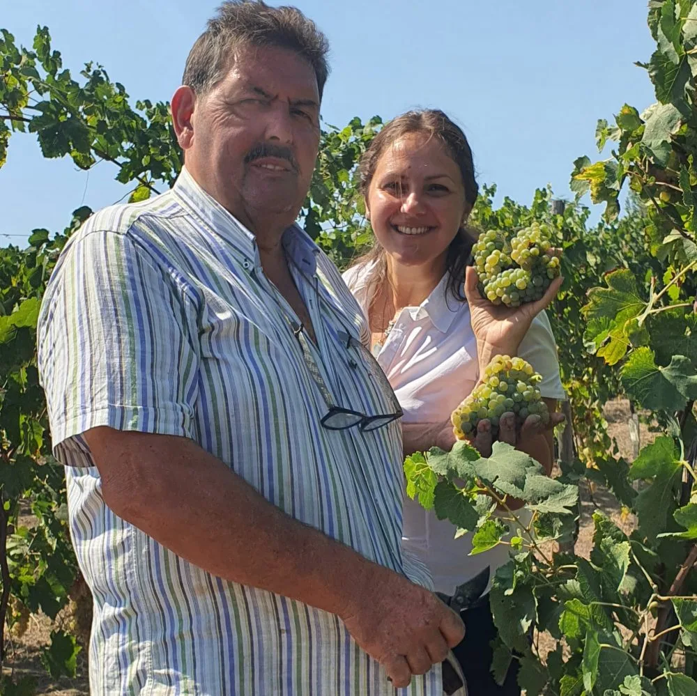 Vendemmia Sorrentino