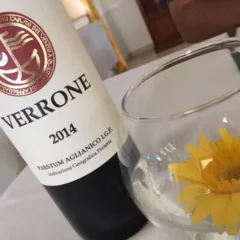 Aglianico Paestum 2014 Verrone