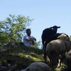 Agricola San Maurizio -Antonio Pia in montagna