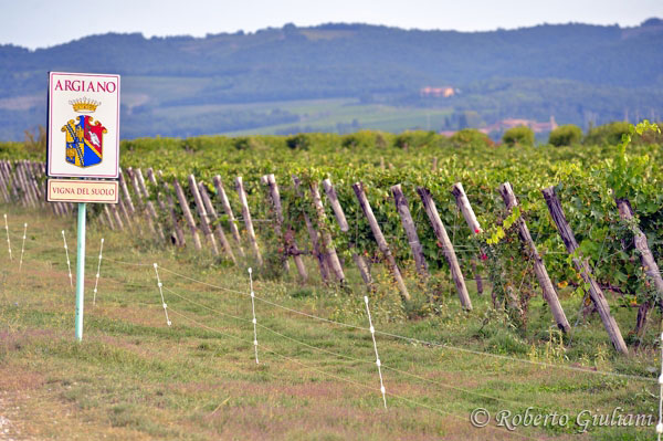 Argiano-vigna del suolo