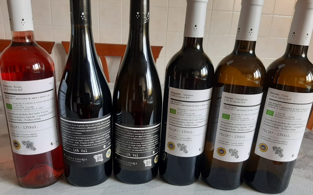 Controetichette Vini Casula Vinaria