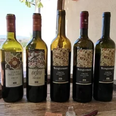 La Canonica - Bottiglie