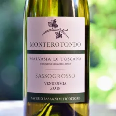 Malvasia Sassogrosso 2019 Monterotondo