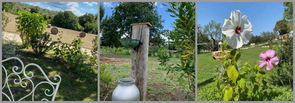 Poggio della Guardia - Giardino