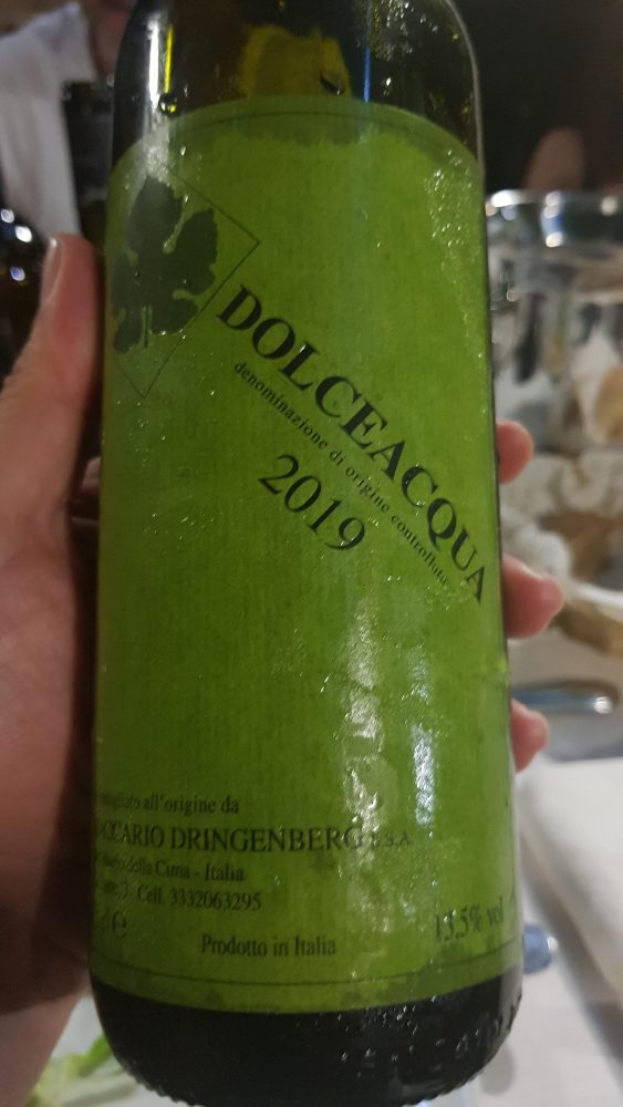 Rossese di Dolceacqua 2019 - maccario