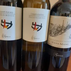 Vini La Sibilla